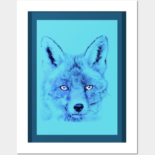 Fox blue variant Posters and Art